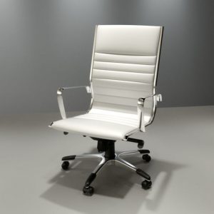 ASSITANT CHAIR